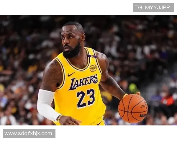 国王队与湖人队巅峰对决球迷期待的精彩赛事即将上演